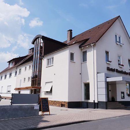 Hotel Hessischer Hof ميلسُنْغِن المظهر الخارجي الصورة