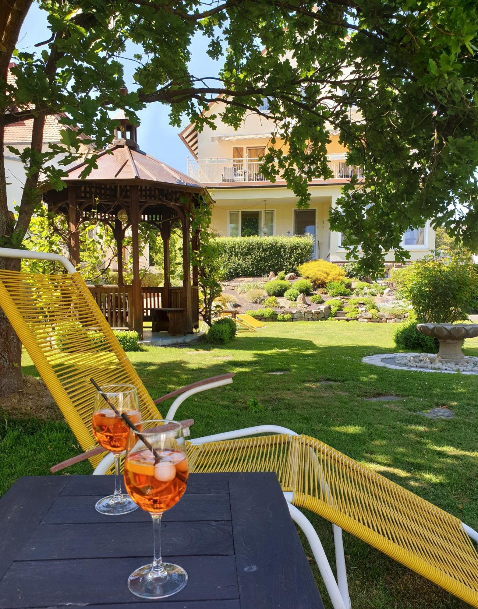 Hotel Hessischer Hof ميلسُنْغِن المظهر الخارجي الصورة